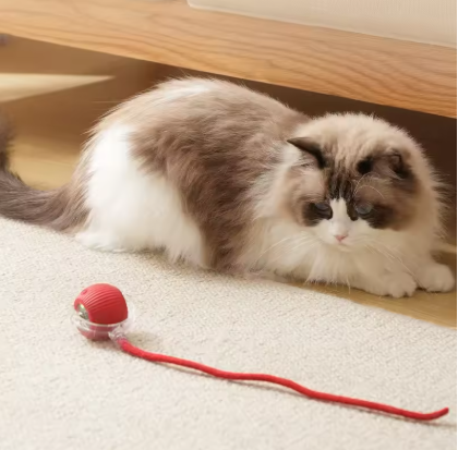Cat Ball Toy with Rope