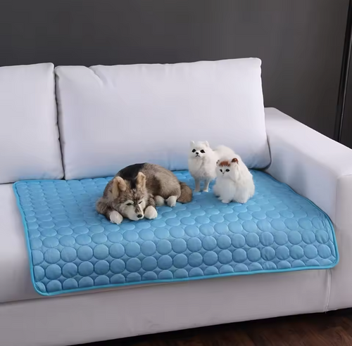A light blue quilted pet cooling mat with a circular bubble texture is laid on a white sofa. Two small dogs and one cat are resting on the mat, which is set against a dark gray wall.